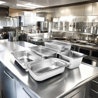 Bac Gastronorm Goodman en Acier Inoxydable 304 et Plastique, Multi-Capacités, pour Buffet Hôtelier, Restauration, Aliments et Crème Glacée