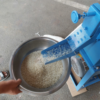 Machine de décorticage de riz automatique 2 tonnes/jour avec fonctions de tri, de nettoyage et de polissage, moteur de moulin à riz combiné du fabricant