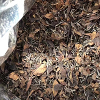 Thé Blanc de Qualité Supérieure en Vrac, Feuilles de Thé Blanc Fraîches Puting Tsa de Chine, Thé Blanc Bio Aîné et Délicat, Thé Sourcil Biologique de Prestige