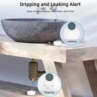 Capteur de fuite d'eau Tuya WIFI avec sirène Mini alarme d'eau Wifi capteur de détection de fuite de salle de bain 80db capteur d'inondation sécurité à domicile