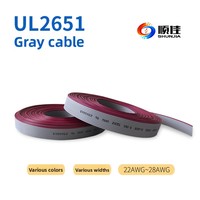 Cable Plano de Pantalla UL2651 con Revestimiento de Policloruro de Vinilo Gris con Borde Rojo, Calibre 28 AWG, Paso de 10 mm, Sin Conectores, Modelo 2651-2870.127TS