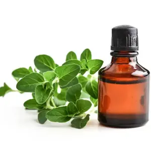 GMP manufacturer supplies organic essential oil natural oregano oil for acting as an antifungal agent, and reducing inflammation