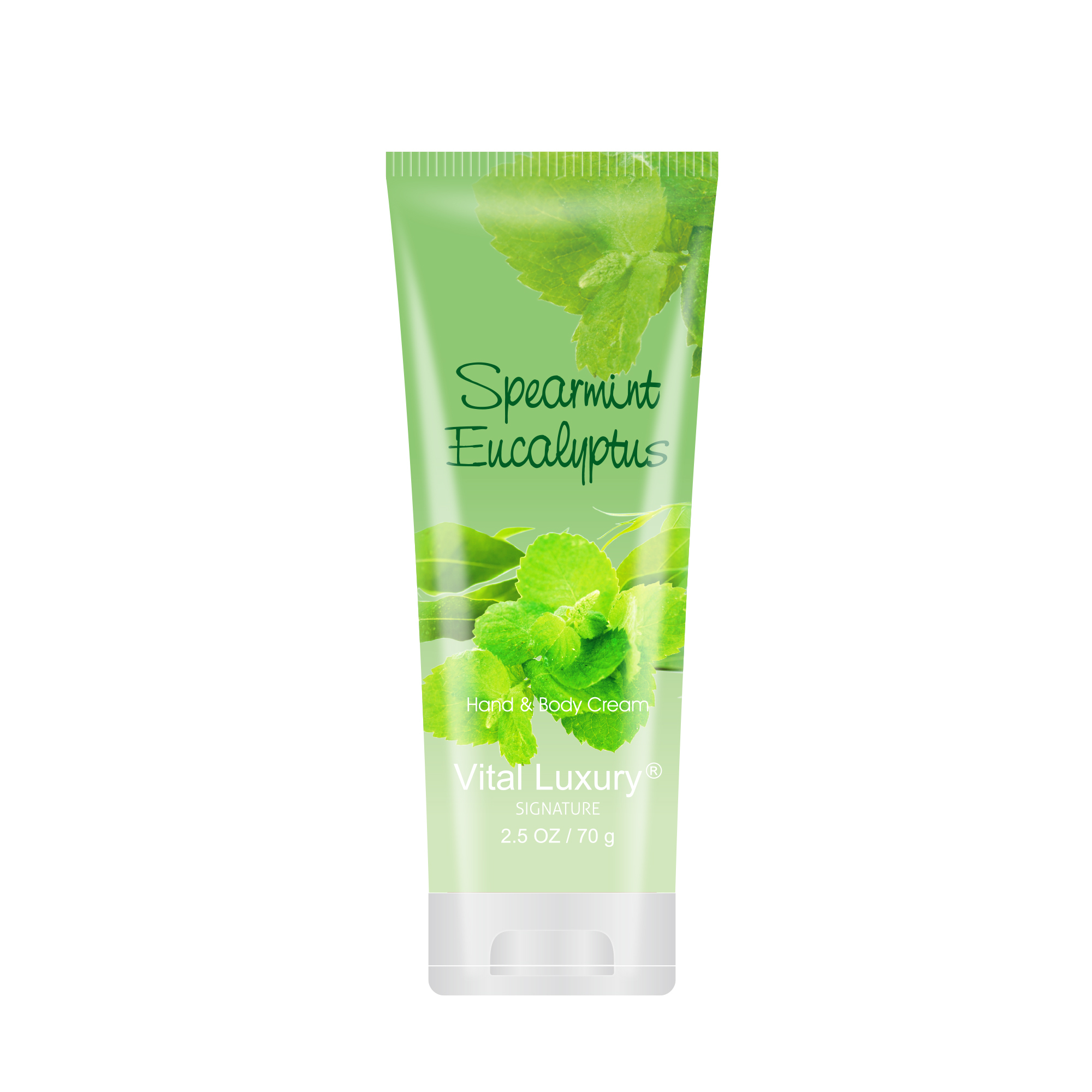 Eucalyptus à la menthe