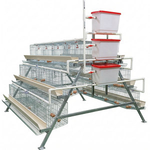 Sistema de Jaulas de Batería Galvanizadas RTL para Gallinas Ponedoras de Granja Avícola Automática, para Cría de Huevos, en Venta - Product Image 1