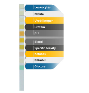 10 paramètre Test D'<span class=keywords><strong>urine</strong></span> Bandes Diabète UTI pH Test D'<span class=keywords><strong>urine</strong></span> Bandes URS-10T - Product Image 1