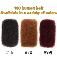 Cheveux Humains Bohémiens Tresses Box Sans Nœuds Cheveux Bruts Brésilien Remy Afro Crépus pour Tresser Cheveux Dreadlock Tresses Boho