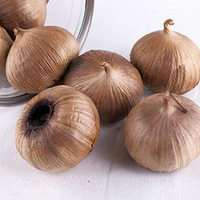 Ail noir fermenté, ail noir en poudre, extrait d'ail noir, granulés d'ail noir