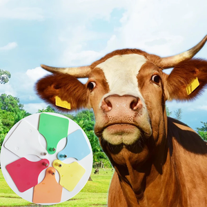 Nuevas Etiquetas de Oreja para Ganado de TPU de Doble Cara de 60x75 mm para Vacas, Ovejas y Caballos - Certificación CE, Identificación Animal - Product Image 6