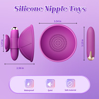 Wiederauf ladbare 10-Gang-Silikon-Nippelklemmen Intensive Vibration Spielzeug für Erwachsene zur erogenen Stimulation