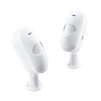 Otomatisasi Rumah Pintar Portabel Kontrol Aplikasi Tuya Daya Ganda WiFi Anti Maling Sensor Gerak PIR Bahan ABS Alarm Suara PST-CT20W