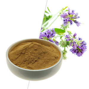 Extrait naturel de feuilles d'alfalfa de qualité alimentaire, suppléments à base de plantes en poudre, bienfaits antioxydants, usage pour adultes - Product Image 1