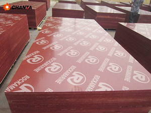 Contrachapado Moderno Antideslizante de 18 mm con Revestimiento de Película, Estándar F17, para Uso en Exteriores - Product Image 6