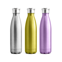 Promotion Logo personnalisé fiole thermique sous vide 0.5L voyage bouteille d'eau Double paroi en acier inoxydable support de voiture 17oz verres chauds