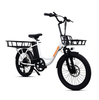 Vélo cargo électrique non pliable à deux roues, 20 pouces, 36V, 250W, double moteur sans balais, pour livraison de nourriture