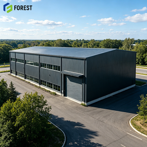 Structure de portique logistique préfabriquée en acier, robuste, flexible, grande taille, personnalisable, avec poutres soudées et peintes, modèle Energy Elite, pour applications automobiles et logistique - Product Image 1