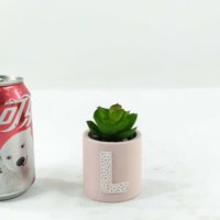 Cactus en céramique fait à la main Mini plante Figurine artificielle Succulent Pot de fleur pour la maison Table Decor Unique Home Decor
