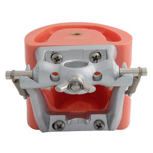 Palato duro 32 denti rimovibile gomma dura modello di dente insegnamento orale modello - Product Image 3