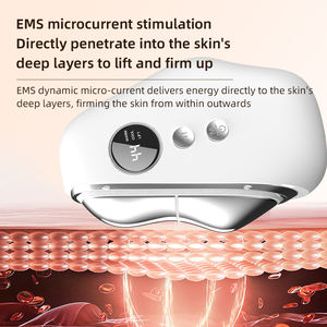 Nouvel <span class=keywords><strong>appareil</strong></span> de soin de la peau électrique OEM 2026, <span class=keywords><strong>meilleur</strong></span> <span class=keywords><strong>appareil</strong></span> <span class=keywords><strong>anti</strong></span>-<span class=keywords><strong>rides</strong></span>, micro-courant, lifting du visage, outil de gua sha - Product Image 4