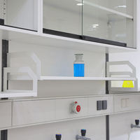 Banc mural de laboratoire directement en gros avec évier table de travail de laboratoire armoire suspendue