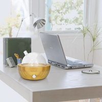 Diffuseur sans eau en verre de bambou véritable alimenté par USB Diffuseur d'huile d'essence électrique naturelle portable pour usage domestique