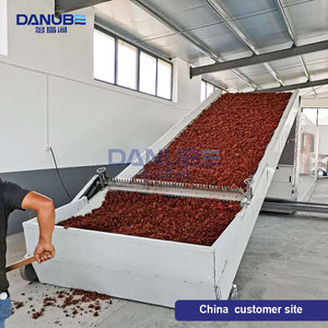Séchoir industriel de grande capacité pour piments rouges, déshydrateur de piments, ligne de séchage continu pour tranches d'ail et de gingembre - Product Image 5