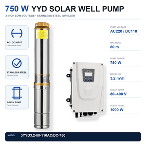 ปั๊มน้ำพลังงานแสงอาทิตย์ QY 750W ขนาด 3 นิ้ว ใบพัดสแตนเลส AC220V DC110V ระยะส่งน้ำ 80 เมตร อัตราการไหล 3.2 ลูกบาศก์เมตร/ชั่วโมง สำหรับการชลประทานทางการเกษตร - Product Image 1