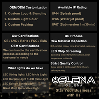 Guirlande lumineuse LED en gros, étanche IP65, pour extérieur, jardin, fêtes, mariages