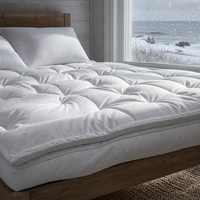Surmatelas en coton de style hôtel 5 étoiles, épaissi, chaud, respirant, lavable, anti-acariens, antibactérien, usage hospitalier