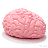 Jouet sensoriel anti-stress en forme de cerveau SoftSmart, doux et relaxant, à remontée lente, pour enfants, vente en gros