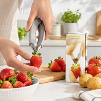 Multifunctionele fruit- en groenteschiller met roestvrijstalen punt, ABS-handvat, aardbeien-, ananas- en aardappelontschiller, keukengereedschap