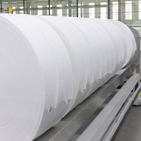 Usine personnalisé biodégradable écologique résistant à la déchirure 100% coton Spunlace tissu non tissé pour serviettes jetables pour le visage