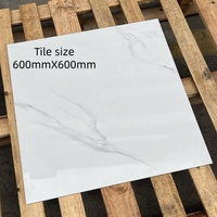 Carreaux de sol modernes en porcelaine marbrée brillante Guangdong 600x600mm - Résistants aux acides et à l'usure pour hôtels, appartements et villas