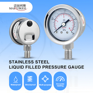 थोक कंपन प्रमाण घर कॉम्पैक्ट आकार दबाव गेज लीक सबूत तेल भरा दबाव गेज - Product Image 2