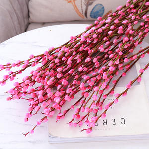 Flores Secas de Estilo Económico de Fábrica, Ramo de <span class=keywords><strong>Salix</strong></span> Argyracea, Fondo Natural para Decoración de Bodas, <span class=keywords><strong>Flor</strong></span> de Sauce Blanco Preservada - Product Image 4