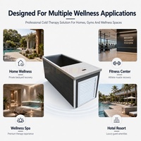 Maßgefertigter Luxus-Outdoor-Kaltwasserpool Hydrotherapie-Wanne für Spa Hotel Wellness-Center