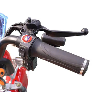 Triciclo Eléctrico <span class=keywords><strong>Plegable</strong></span> de 3 Ruedas para Adultos con Cestas Delanteras, Carrocería Abierta, 2 Pasajeros, 30 km/h - Product Image 3