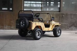 Mini UTV de Fábrica de 125cc, 3 Velocidades con Reversa, 2 Plazas, 2WD, Certificado para Niños y Adultos, Motor de 4 Tiempos, Transmisión Eléctrica - Product Image 4