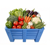 Caisse en plastique HDPE écologique de grande capacité 1200*1000 de fabrication originale pour fruits et légumes avec bouchon d'eau