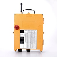 Télécommande de grue sans fil double vitesse Telecrane F21-14D 14 boutons