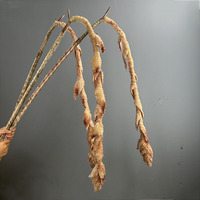 CC-938 Rumput Ekor Rubah Buatan (Artificial Pennisetum Setaceum) untuk Dekorasi Pernikahan dan Rumah