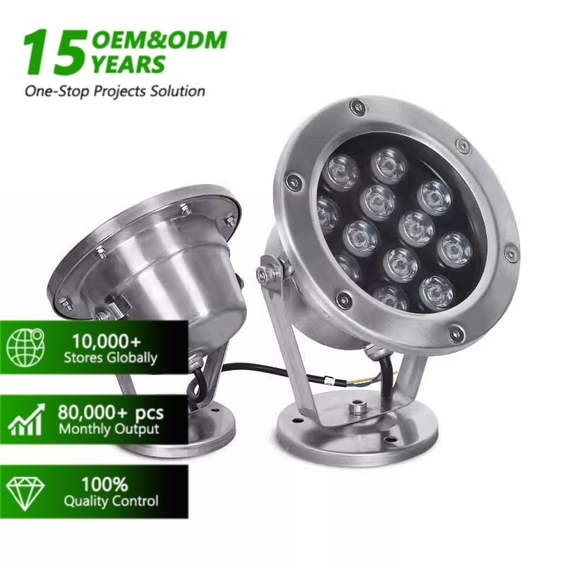304 Stainless Steel Rgb DMX512 Swimming Pool Lamp IP68 6W 12W 15W 18W Fountain LED Underwater Light