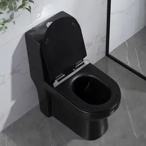 OVS CUPC North America Modern Design Factory Price Fully Glazed Flush Toilets 1 Piece Ceramic Chaozhou Black Toilet