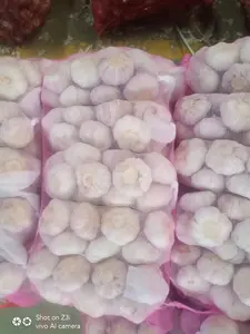 New Crop Fresh Garlic Normal White And Alho Ajo Ail Supply With Wholesale Garlic PriceWhite Garlic With Bulk Packing