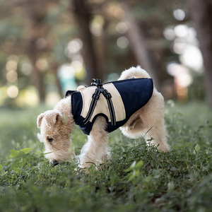 Venta al por mayor de chaquetas de lujo para perros, chaleco con capucha de fábrica, ropa para mascotas, abrigo impermeable para perros, abrigo de invierno aislado - Product Image 4
