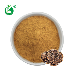 Extracto <span class=keywords><strong>de</strong></span> Trametes <span class=keywords><strong>Versicolor</strong></span>, Extracto <span class=keywords><strong>de</strong></span> Hongo Cola <span class=keywords><strong>de</strong></span> Pavo Orgánico en Polvo - Product Image 1