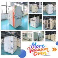 Vacuum Oven Custom Size Wall and Hot Plate Heating Digital Vacuum Gauge Instrument Drying ISO Certified Factory Direct