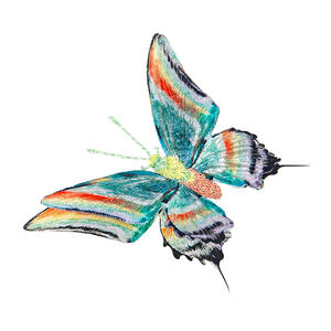 تطريز مخصص طباعة نقل الحرارة رائعة فراشة التصحيح اللباس الدانتيل التطريز الديكور الملابس التصحيح المطرزة - Product Image 2