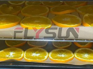 Flysun เครื่องอบแห้งถั่วผลไม้สีเขียวเครื่องอบแห้งถั่วถาดอบแห้งผลไม้ - Product Image 4