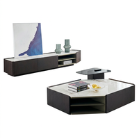 Table basse moderne minimaliste pour salon, avec structure en bois durable et rangement, meuble TV
