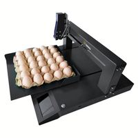 Impresora de inyección de tinta de huevo automática de un solo cabezal XP600, etiqueta de cabezal de impresión, sello de fecha de caducidad y máquina de codificación de código de barras para huevos